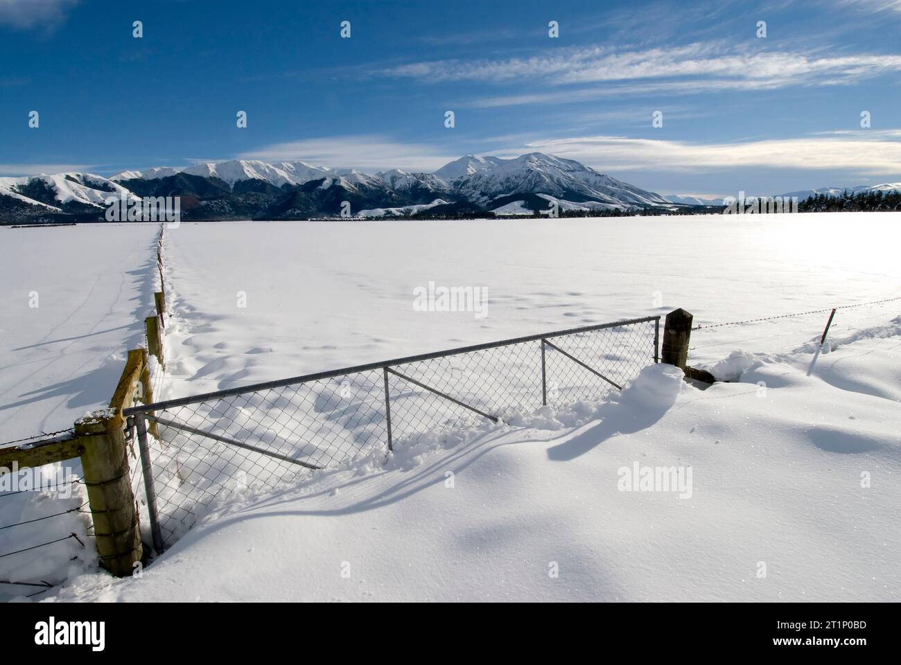 Neige fraîche sur les terres agricoles près de Mt Hutt, Arthur's Pass, Canterbury Plains, Île du Sud, Nouvelle-Zélande Banque D'Images