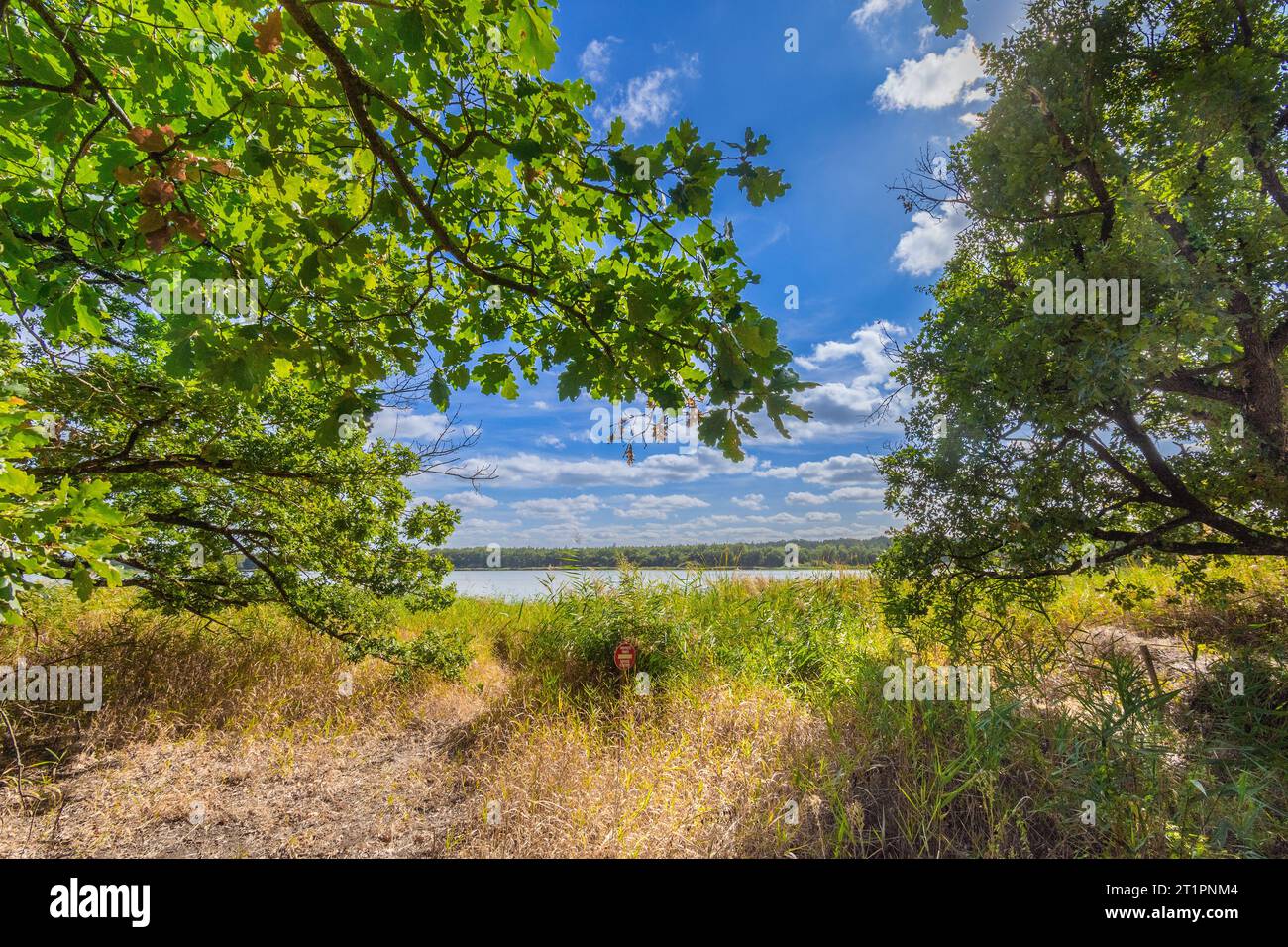 Vue sur le lac de la Mer Rouge dans le parc national de la Brenne, Indre (36), France. Banque D'Images