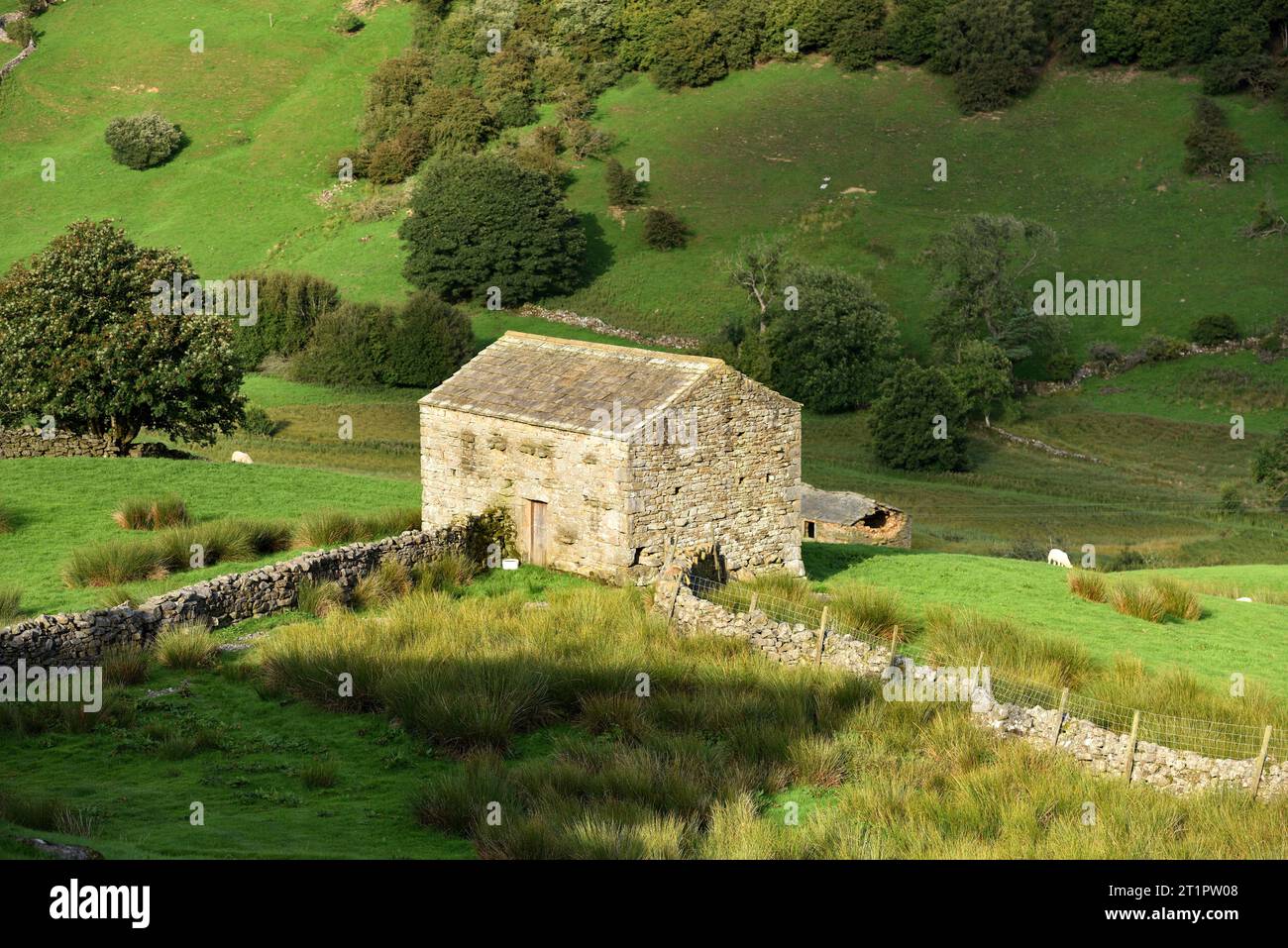 Grange éclairée par le soleil avec des murs en pierre sèche près de Keld. Banque D'Images