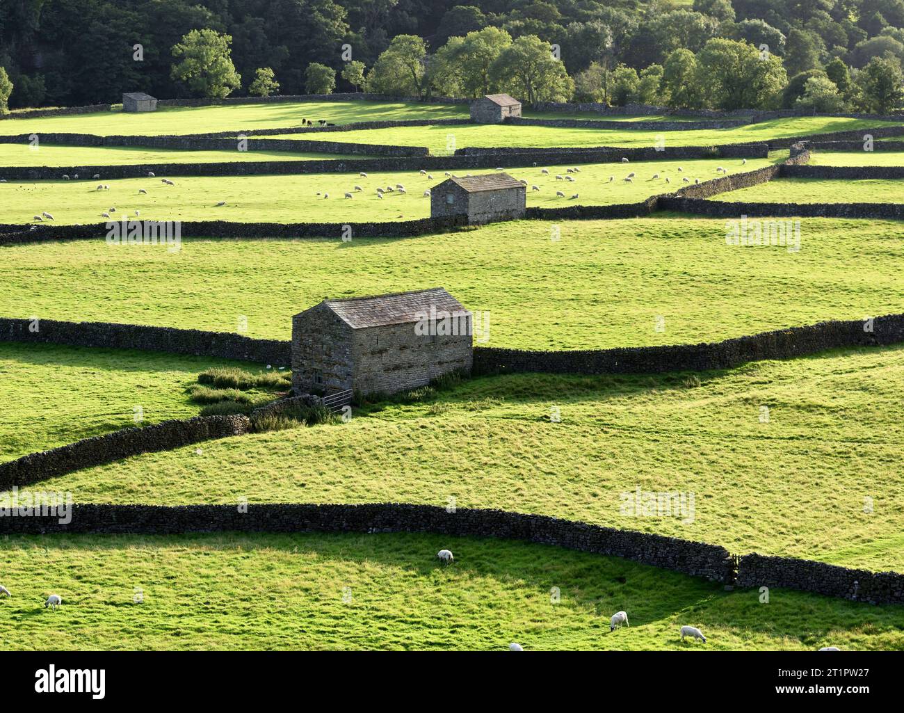 Granges sur le terrain et murs en pierre sèche à Gunnerside. Banque D'Images