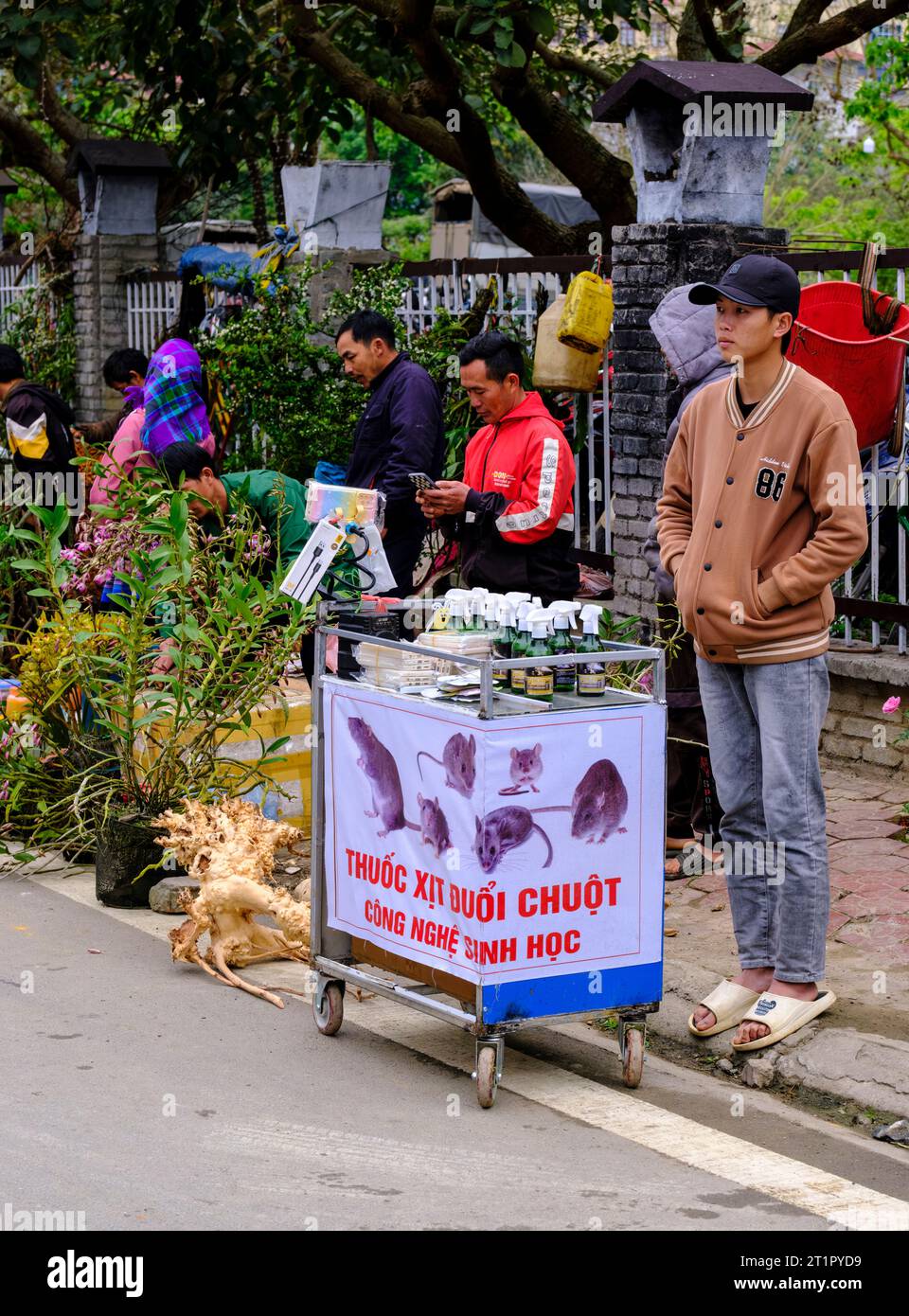 Bac Ha, Vietnam. Fournisseur de marché vendant du poison de rat. Province de Lao Cai. Banque D'Images