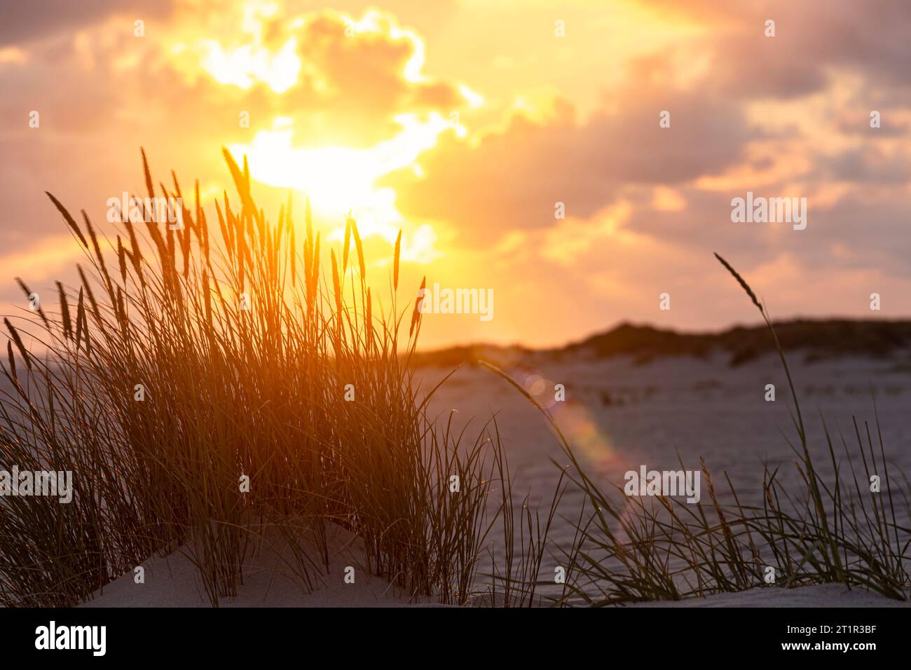 Coucher du soleil sur la plage - Sylt, Allemagne Banque D'Images