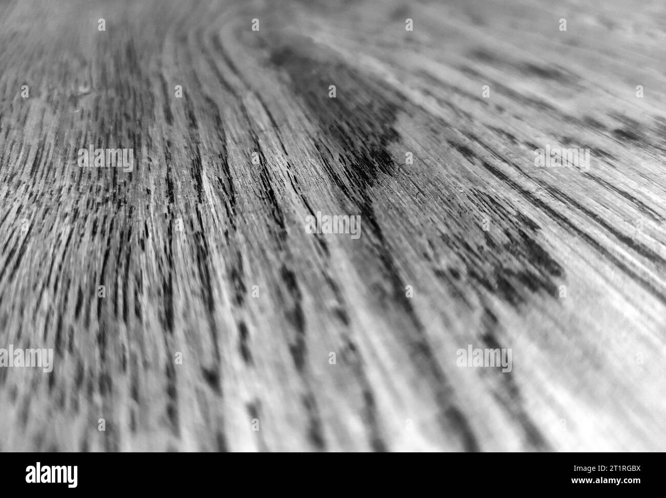 Fond noir et blanc en bois naturel avec des éléments flous. Motif de surface en bois monochrome, texture en bois en niveaux de gris Banque D'Images