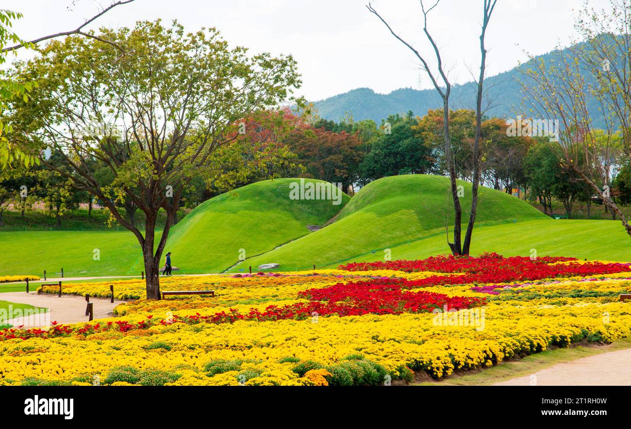 Suncheonman International Garden Expo 2023, 11 octobre 2023 : lieu de l'exposition Suncheonman International Garden Expo 2023 à Suncheon, à environ 420 km (261 miles) au sud de Séoul, Corée du Sud. L'exposition sur les jardins a lieu depuis avril pour présenter divers types de cultures de jardins au Suncheon Bay National Garden et dans d'autres lieux de la ville. L'expo est prévue jusqu'en octobre 31. (Photo de Lee Jae-won/AFLO) Banque D'Images