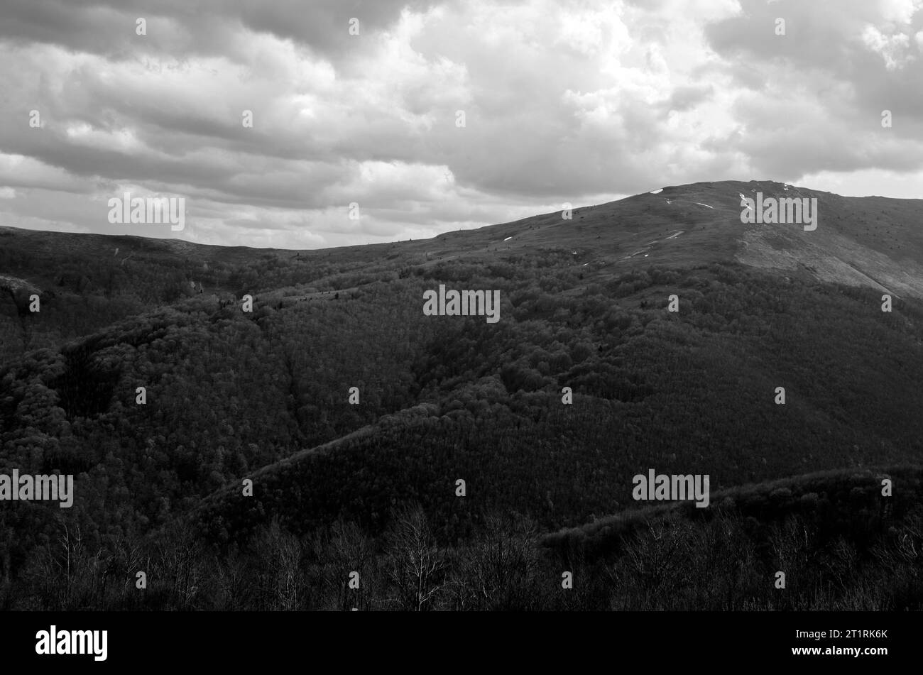 Vacances dans les montagnes.Forêts au sommet des montagnes Banque D'Images