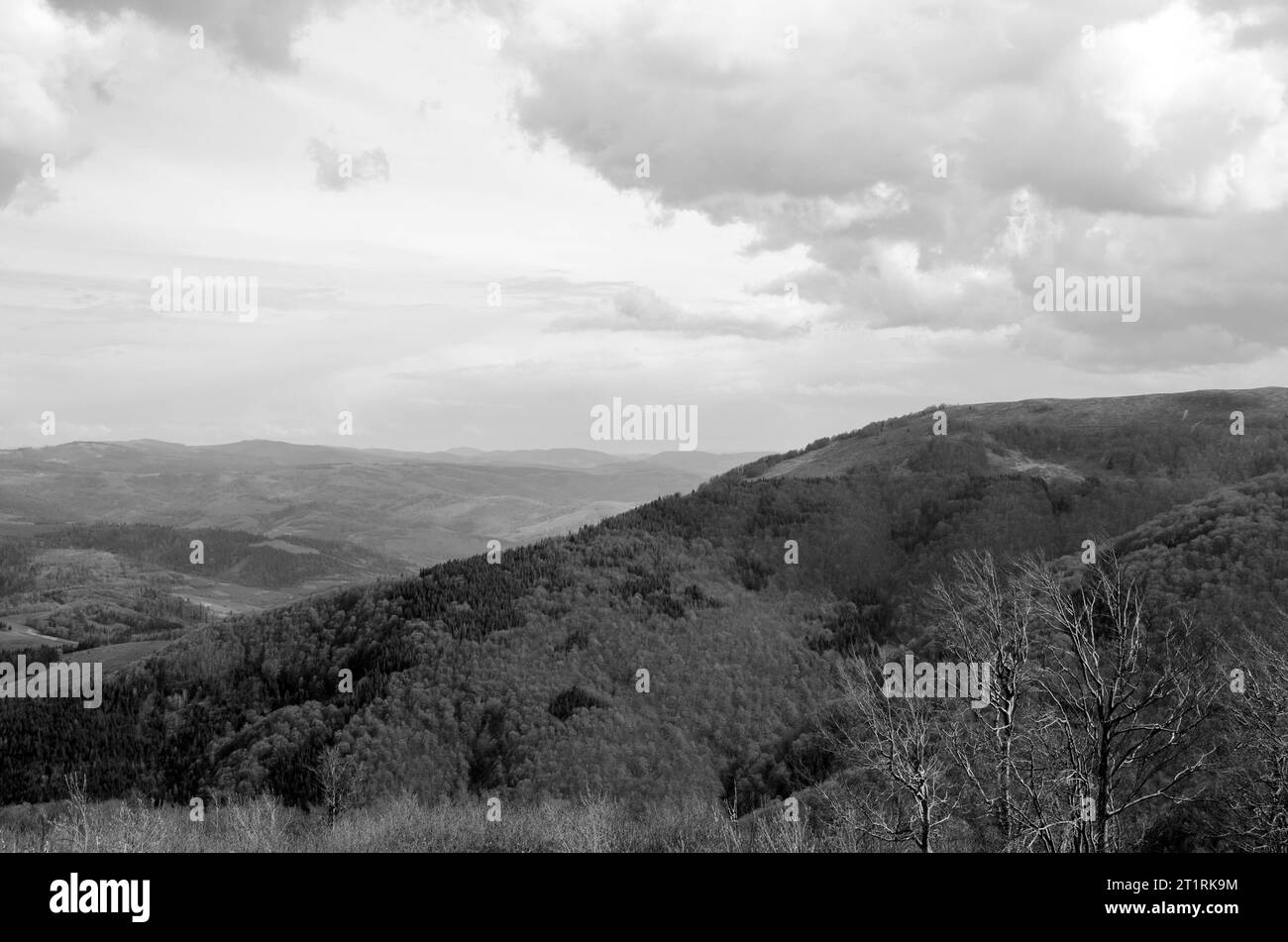 Montagnes et collines avec forêts de montagne sauvages Banque D'Images