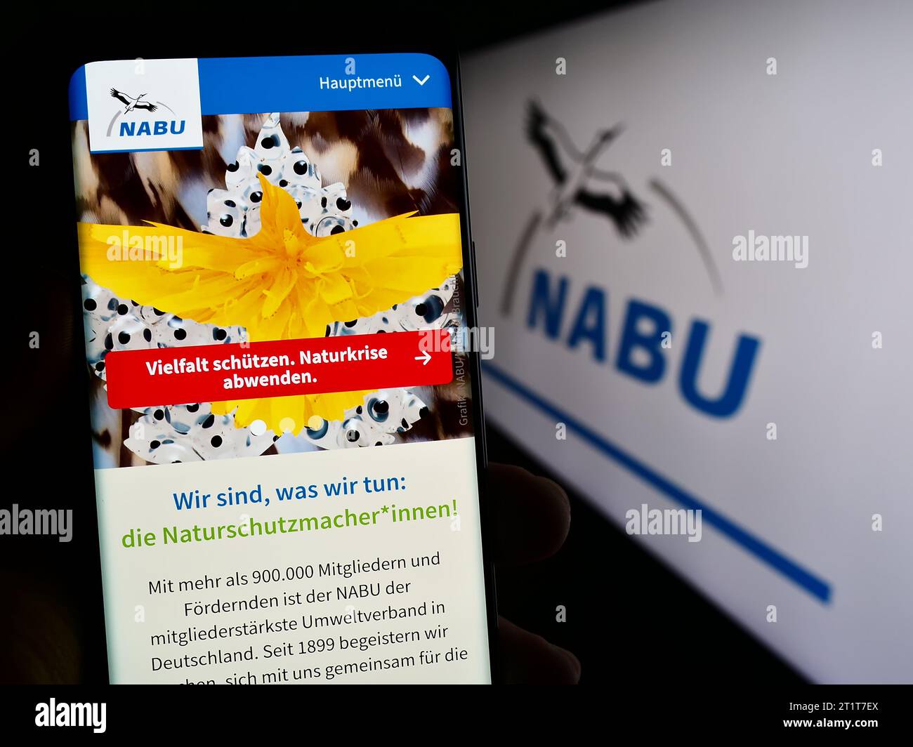 Personne détenant un téléphone portable avec page web de l'association Naturschutzbund Deutschland e.V. (NABU) avec logo. Concentrez-vous sur le centre de l'écran du téléphone. Banque D'Images