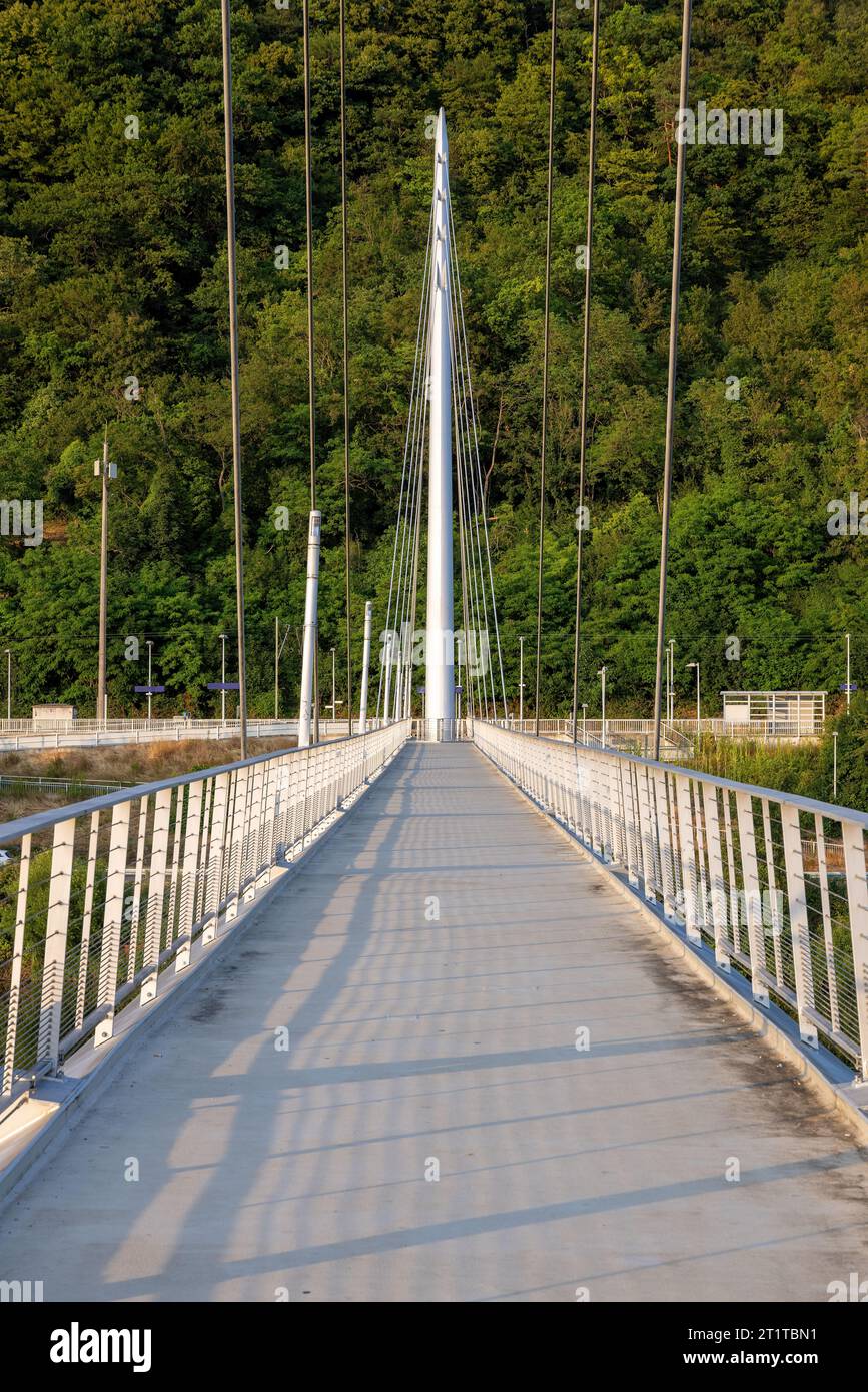 Pont suspendu métallique pour piétons avec câbles en acier sur la rivière Neckar près de Hassmersheim avec reflets Banque D'Images