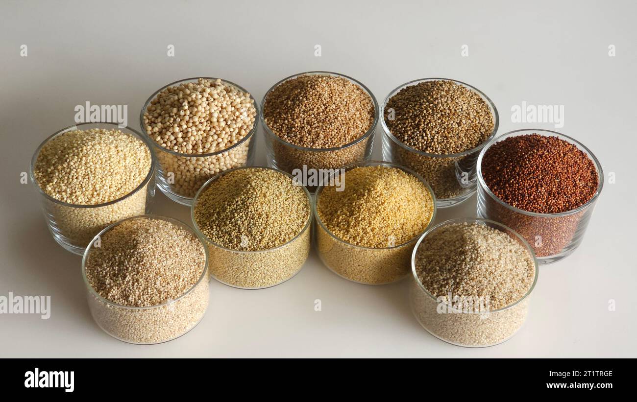 Image unique montrant les neuf millets. Millets dans des bols remplis à ras bord conservés en deux rangées. Ils sont Jowar, Bajra, Ragi, Jhangora, Barri, Kangni, Banque D'Images