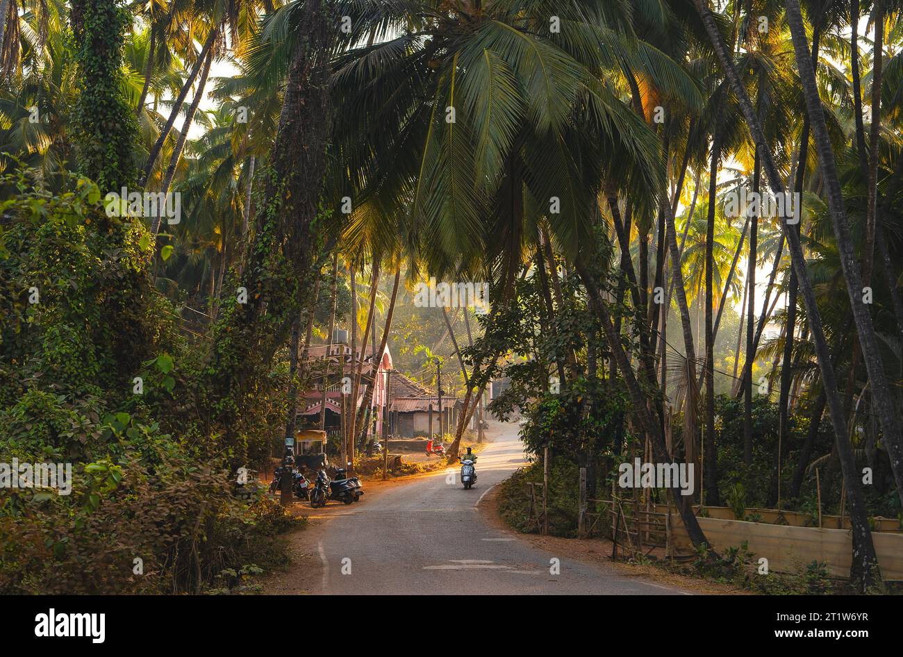 Route le matin à Goa, village Agonda. Beau lever de soleil dans les tropiques de l'Inde Banque D'Images