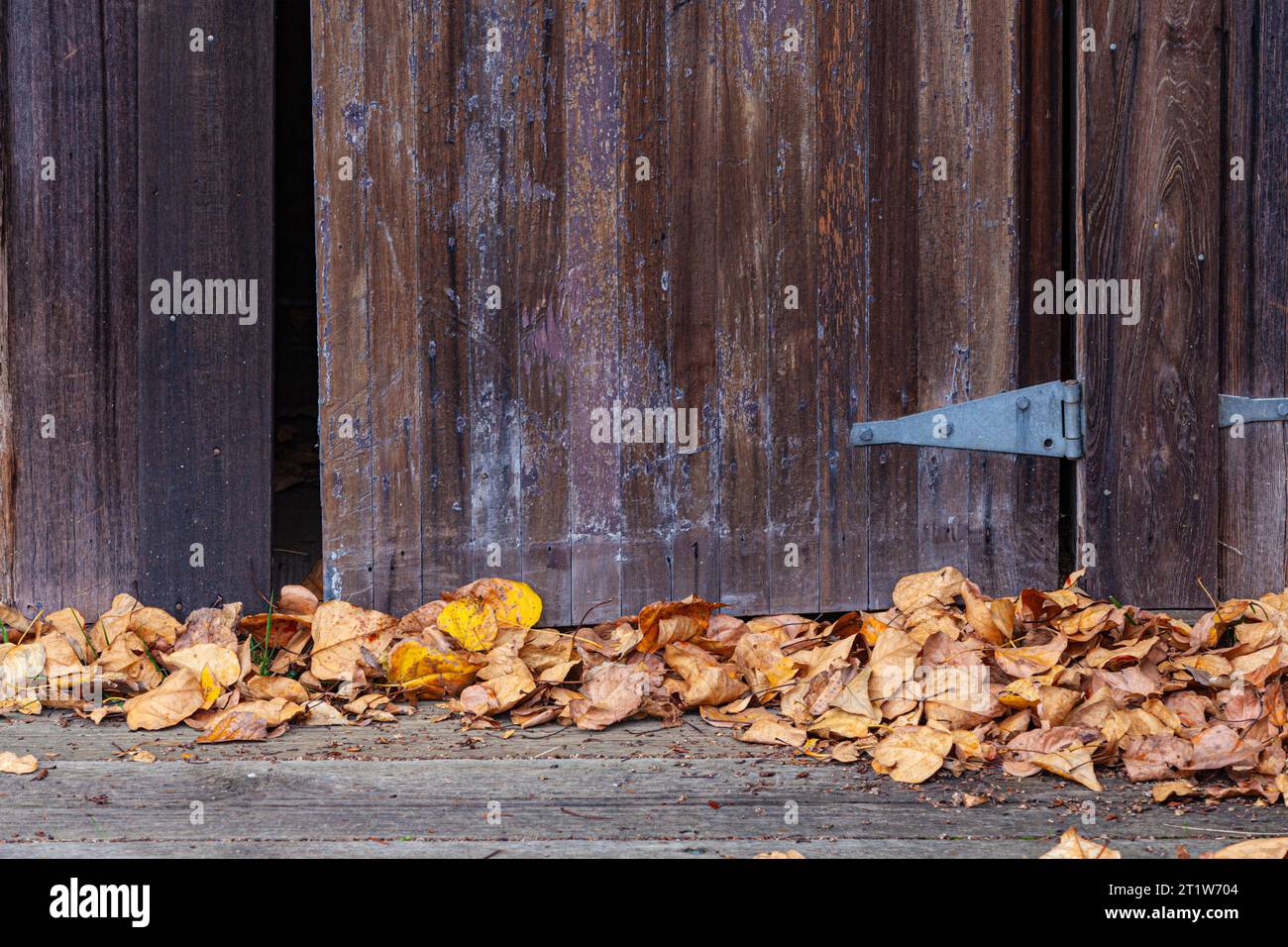 Image abstraite d'une vieille porte en bois avec des feuilles tombées à Steveston British Columbia Canada Banque D'Images
