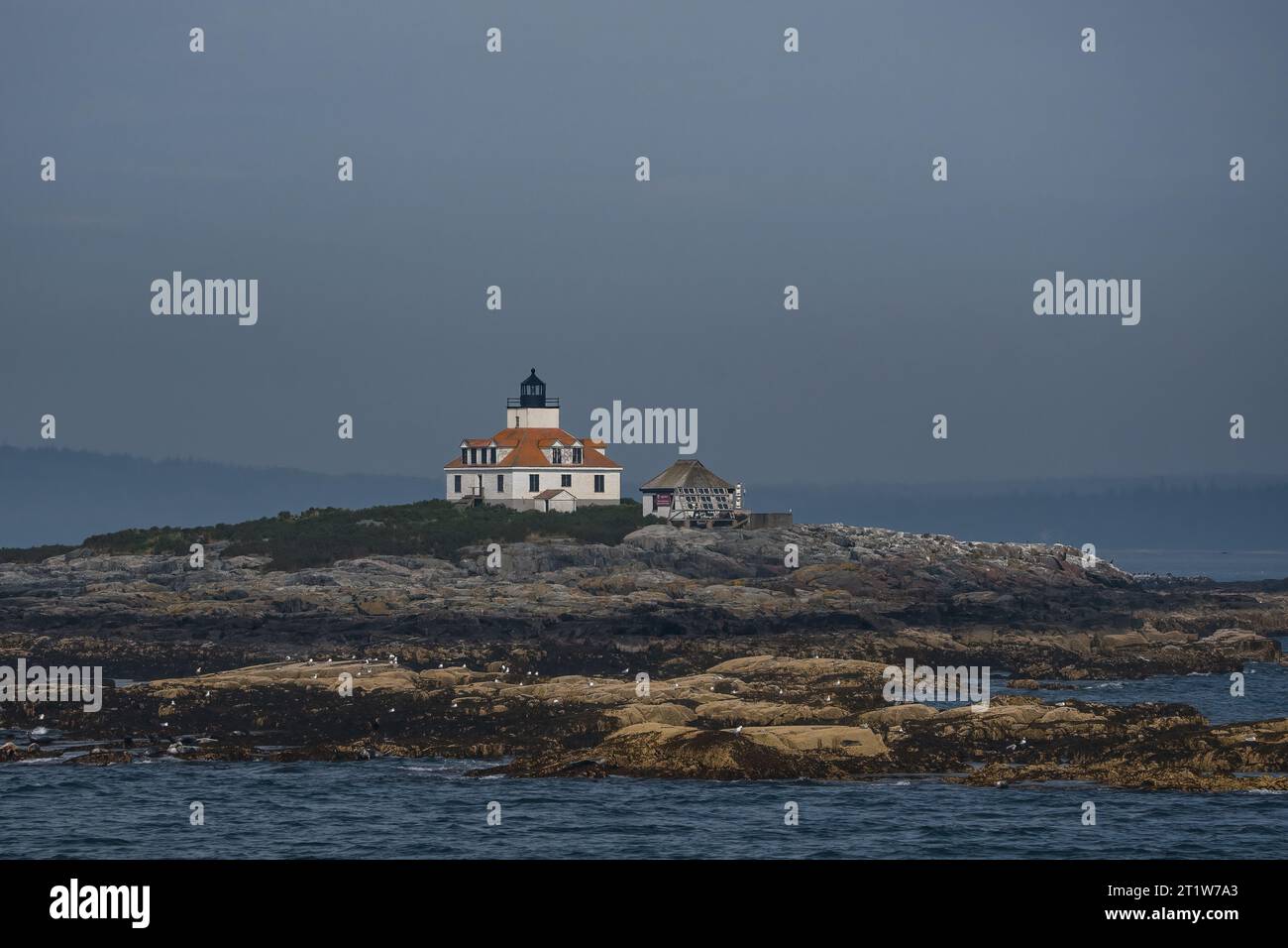 Phare d'Egg Rock dans Frenchman Bay dans le Maine. Banque D'Images