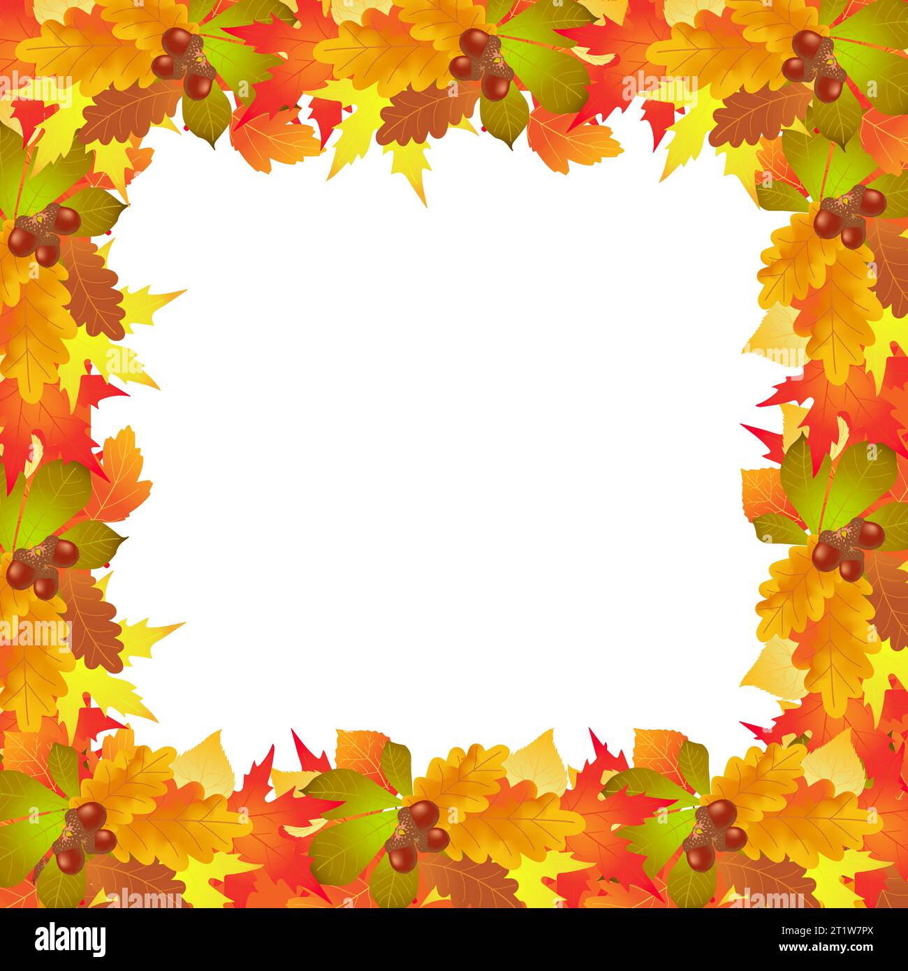 érable d'automne, fond de feuilles de chêne, vecteur d'illustration Illustration de Vecteur