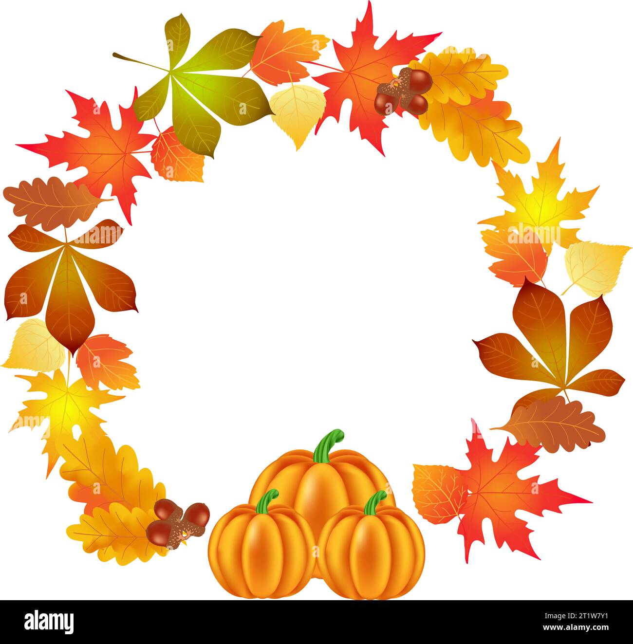 Cercle avec érable d'automne, feuilles de chêne et citrouille. vecteur d'illustration. Illustration de Vecteur