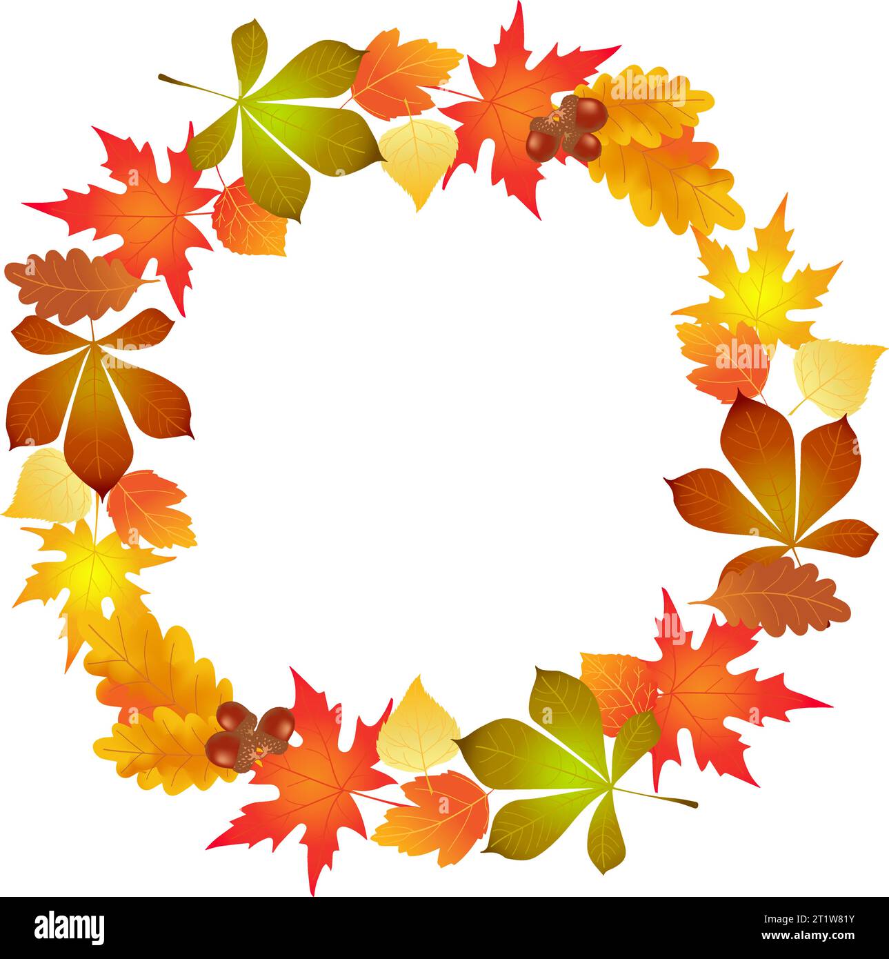 érable d'automne, cercle de fond de feuilles de chêne, vecteur d'illustration Illustration de Vecteur