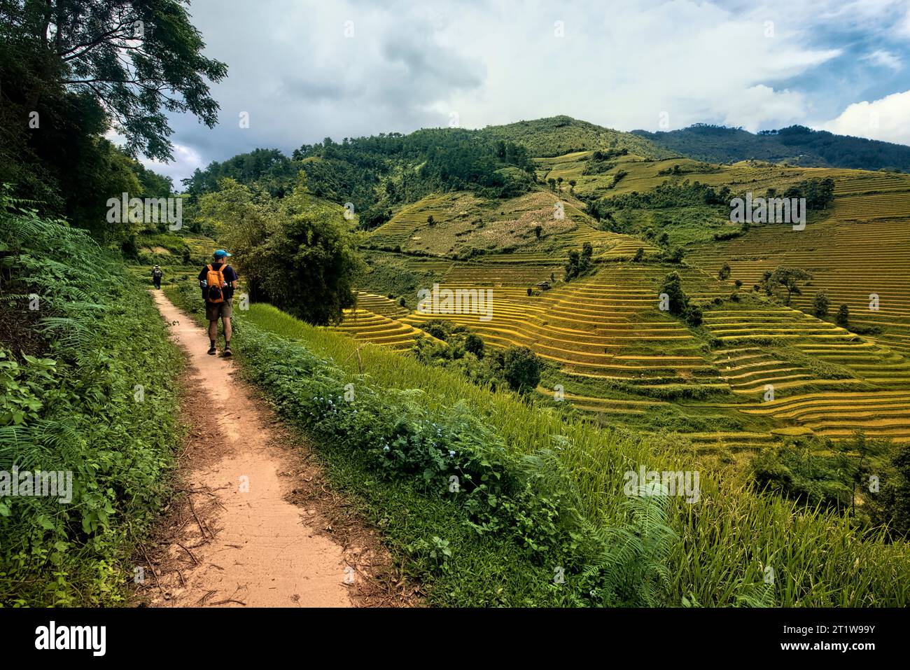 Trekking à travers les terrasses de riz étonnantes de Mu Cang Chai, yen Bai, Vietnam Banque D'Images