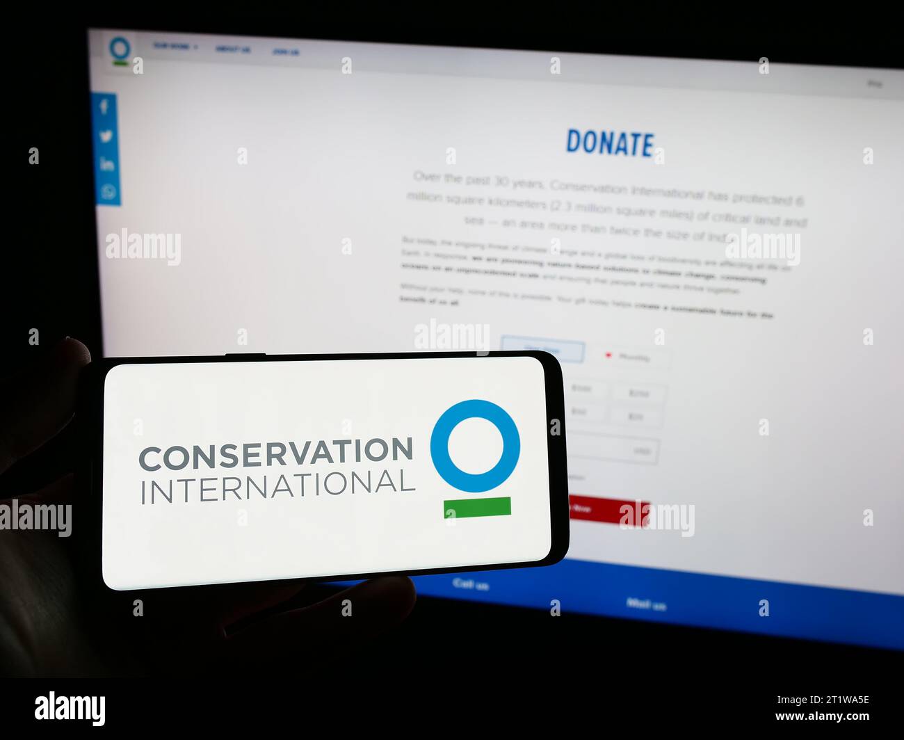 Personne tenant un smartphone avec le logo de l'organisation environnementale conservation International (ci) devant le site Web. Concentrez-vous sur l'affichage du téléphone. Banque D'Images