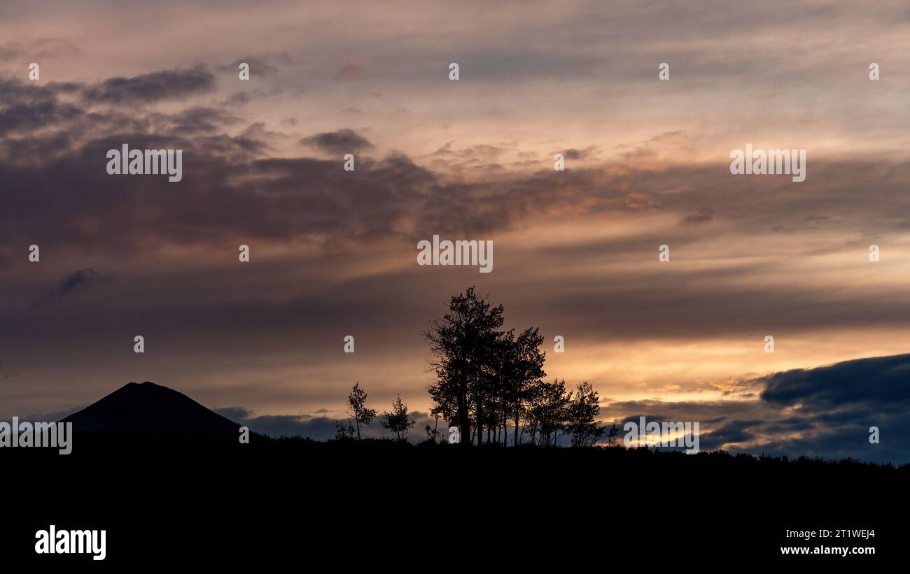 Horizon de coucher de soleil d'arbres et une silhouette de pic de montagne Banque D'Images