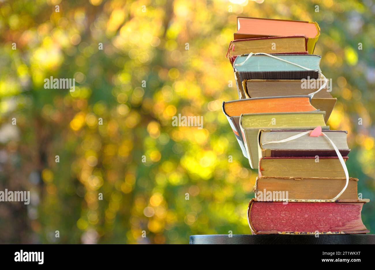 pile de livres contre les arbres de couleur automnale, inspiration, lecture, éducation, concept de littérature, espace de copie gratuit Banque D'Images