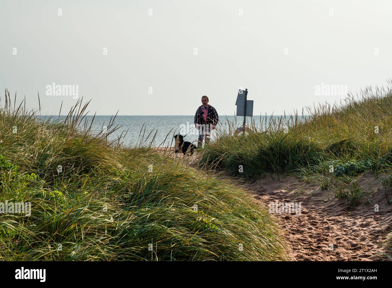 Man Walking Dog Parc provincial Panmure Island   Panmure Island, Île-du-Prince-Édouard, CAN Banque D'Images