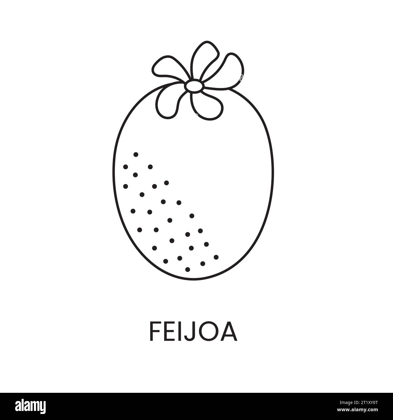 Icône de ligne Feijoa dans le vecteur, illustration de fruits. Illustration de Vecteur
