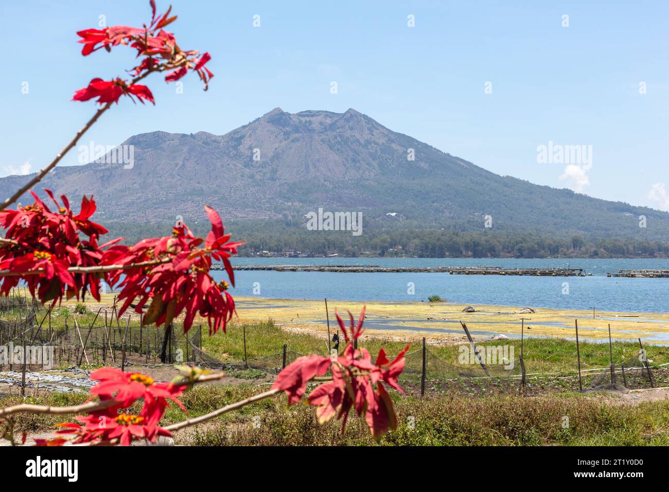 Vue sur le volcan Batur (Gunung Batur) et le lac Batur (Danau Batur). Kintamani, Bangli, Bali, Indonésie. Banque D'Images