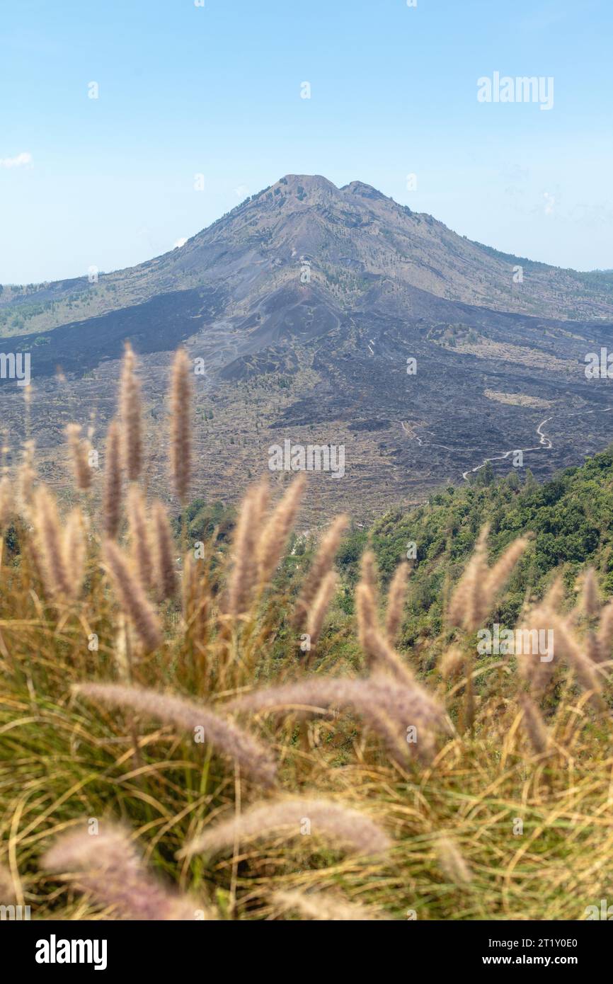 Vue sur le volcan Batur (Gunung Batur). Kintamani, Bangli, Bali, Indonésie. Banque D'Images