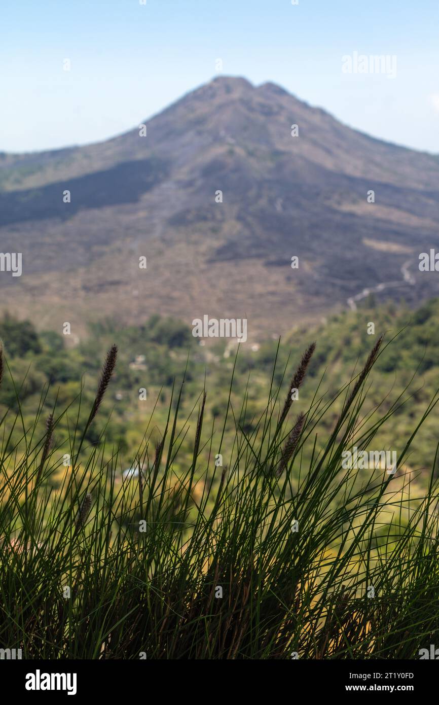 Vue sur le volcan Batur (Gunung Batur). Kintamani, Bangli, Bali, Indonésie. Banque D'Images