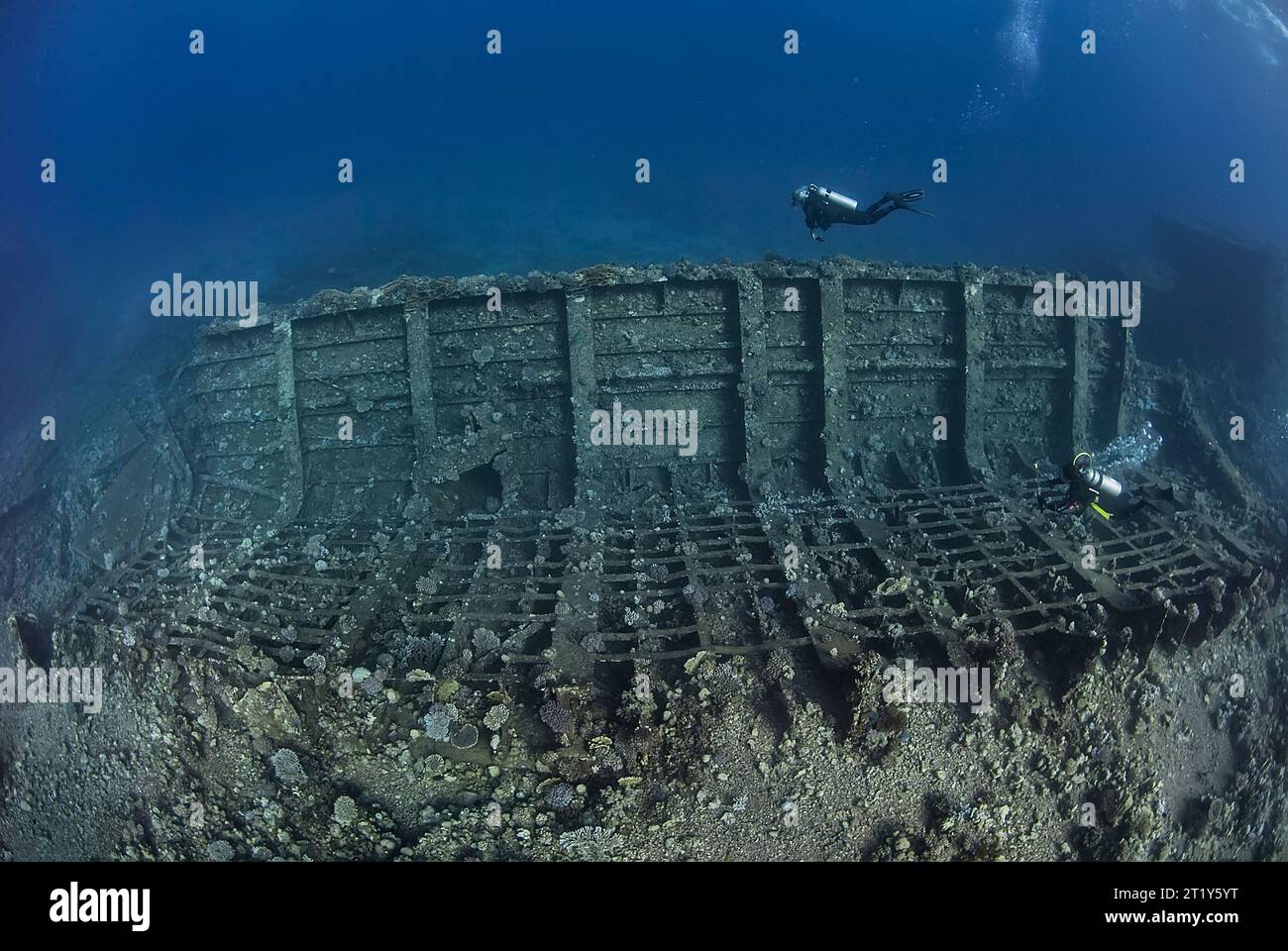 Plongeurs dans un naufrage de la mer Rouge dans une eau cristalline Banque D'Images