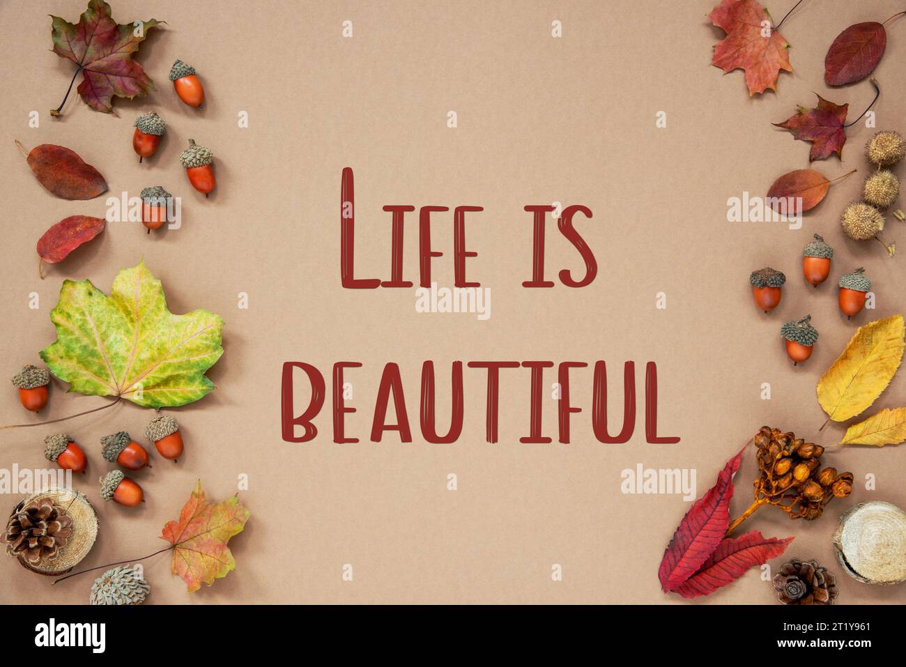 Arrière-plan d'automne avec texte la vie est belle Banque D'Images