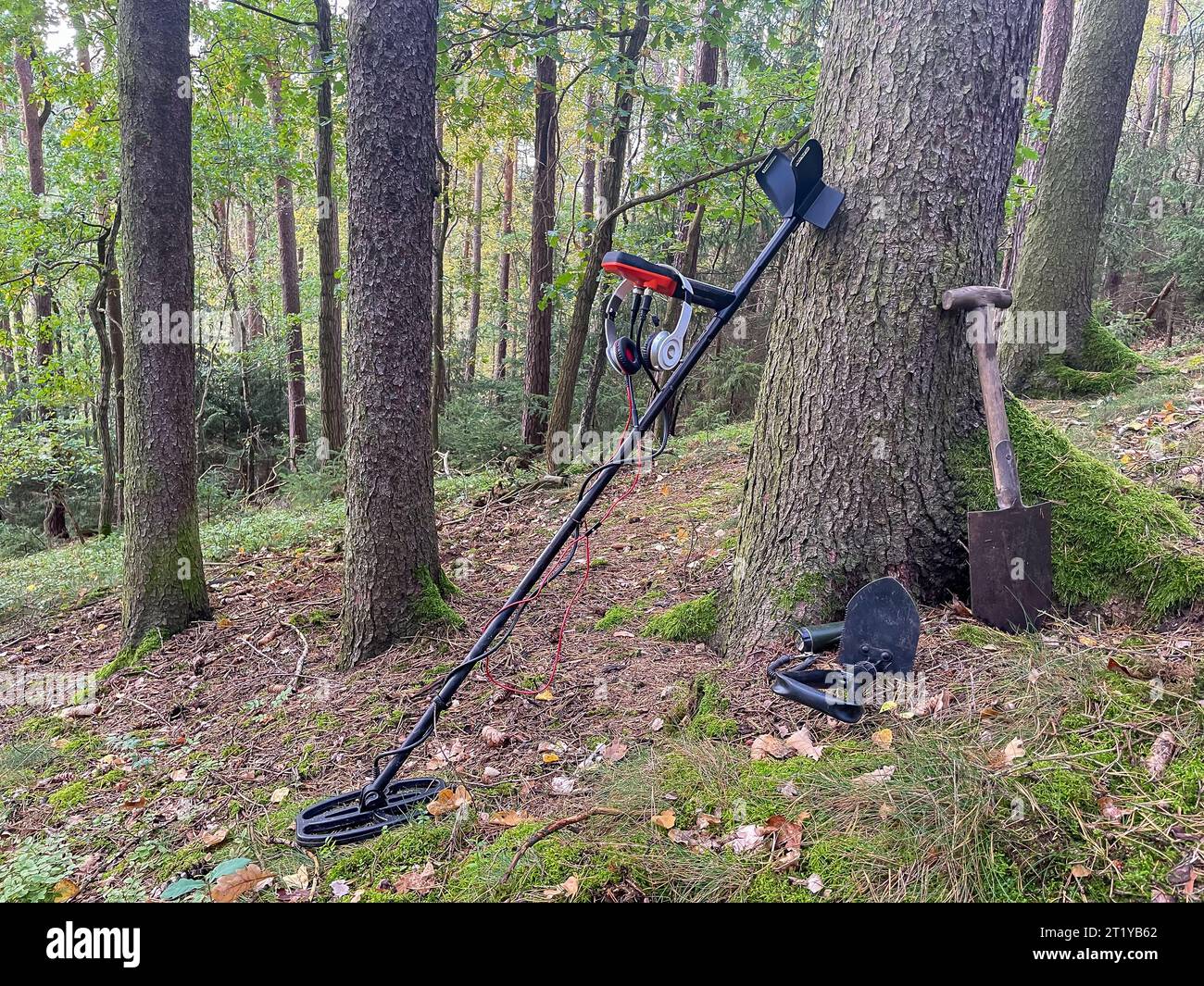 Recherche dans la forêt avec un détecteur de métaux Banque D'Images