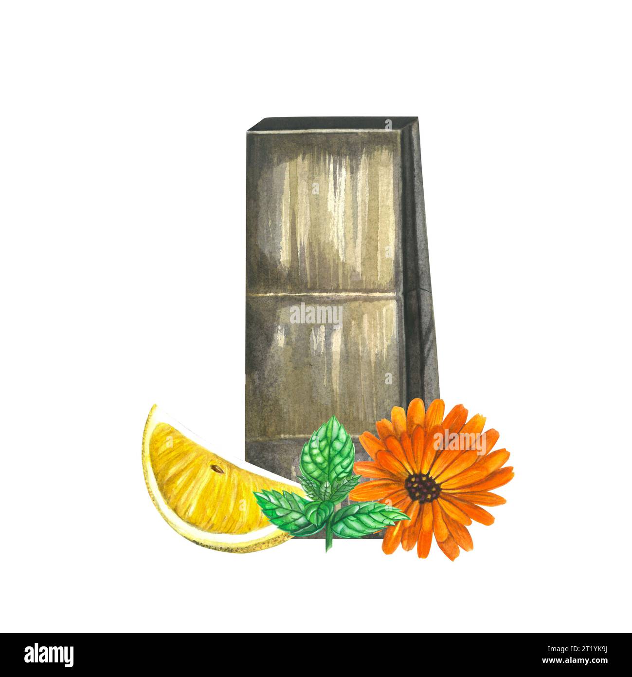 Illustration à l'aquarelle d'un sac en papier de thé, citron, menthe et calendula. Isolé sur fond blanc, dessiné à la main Banque D'Images
