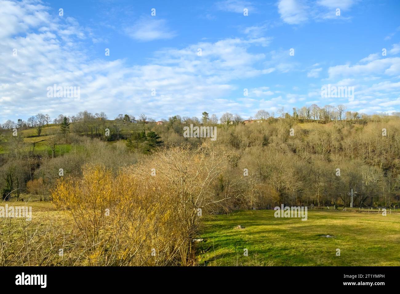 Asturies, Espagne, vue aérienne des arbres commençant à fleurir au printemps Banque D'Images