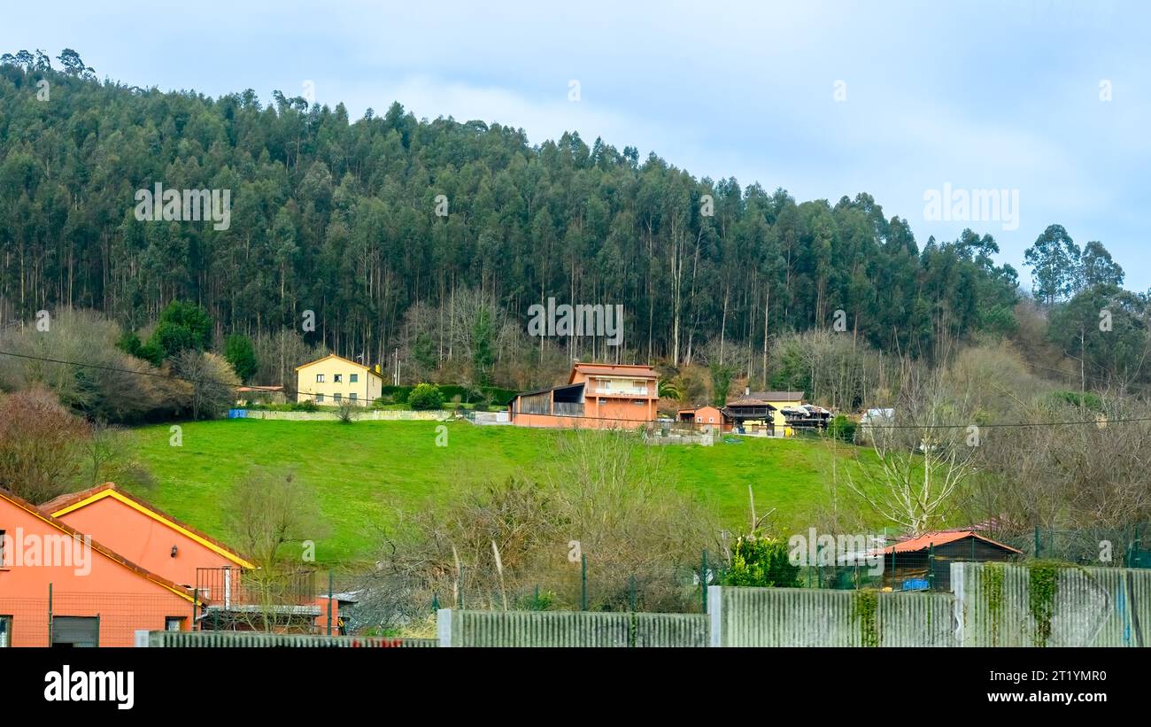 Asturies, Espagne, maisons rurales près d'une forêt d'arbres dans une colline Banque D'Images