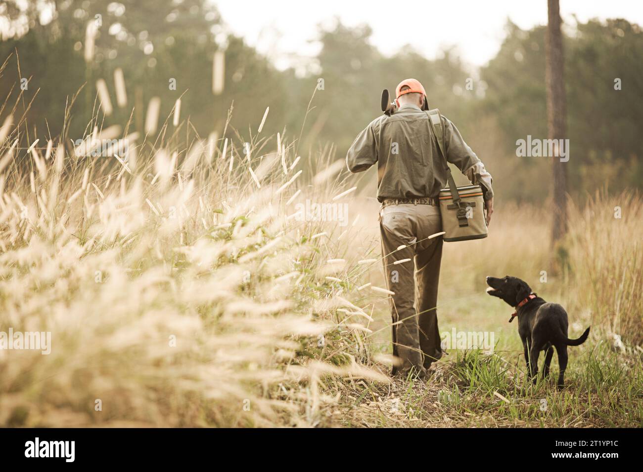 Chasseur d'oiseaux marchant avec son chien, réserve de Bear Creek, Géorgie, États-Unis Banque D'Images