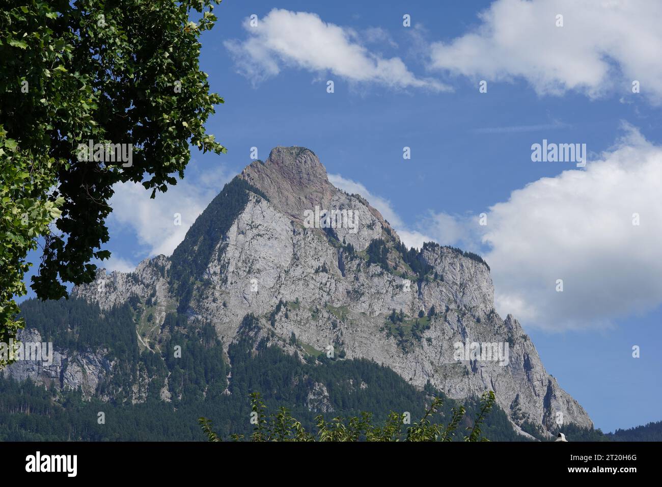 Montagne appelée Grosser Mythen située dans les Alpes suisses, dans le canton Schwyz, Suisse. Il y a des arbres encadrant la capture du côté gauche. Banque D'Images