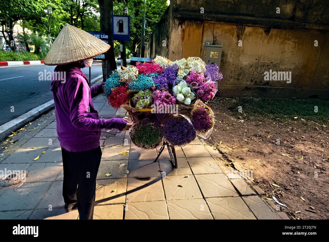 Vendeur de fleurs, Hanoi, Vietnam Banque D'Images