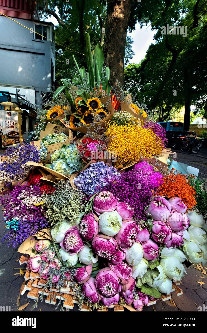 Vendeur de fleurs sur Phan Dinh Phung Street, Hanoi, Vietnam Banque D'Images