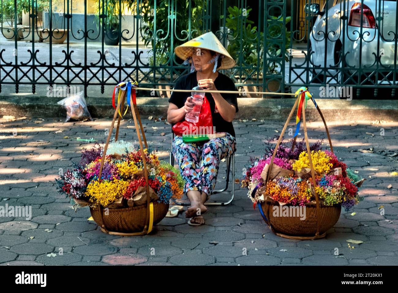 Vendeur de fleurs sur Phan Dinh Phung Street, Hanoi, Vietnam Banque D'Images