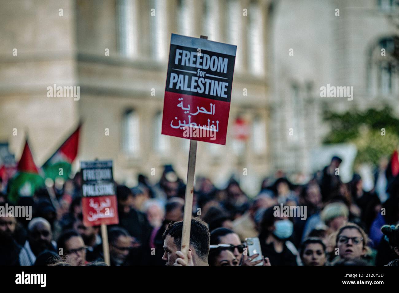 Signe de protestation liberté pour la Palestine lors de la manifestation pro-palestinienne à Londres . Banque D'Images