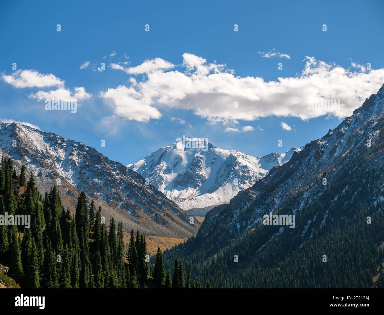 Paysage de montagne. Un sommet enneigé s'élève sur fond de pentes couvertes de forêts de conifères. Beau temps haut dans les montagnes. Banque D'Images