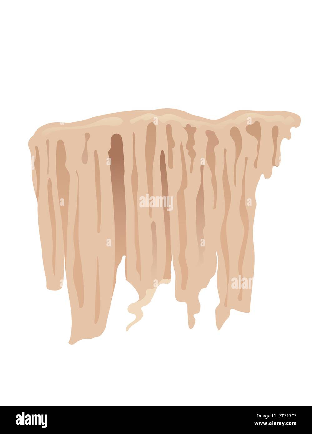 Colonne minérale de stalactite de pierre de grotte formation de géologie de croissance naturelle illustration de vecteur isolé sur fond blanc Illustration de Vecteur