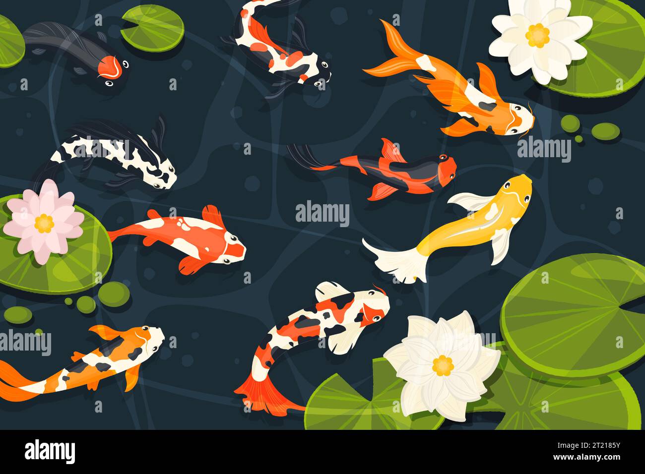 Étang avec des poissons koi. Poisson rouge décoratif exotique, carpe chinoise de dessin animé nageant dans le lac avec des fleurs de lotus dans le style de dessin animé. Illustration vectorielle Illustration de Vecteur