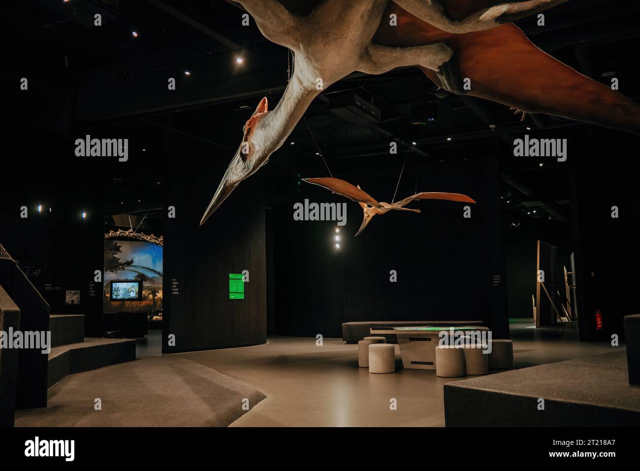 Prague, Tchéquie-7 octobre 2023. Pterodactyl, modèle pteranodon au Musée des dinosaures Banque D'Images