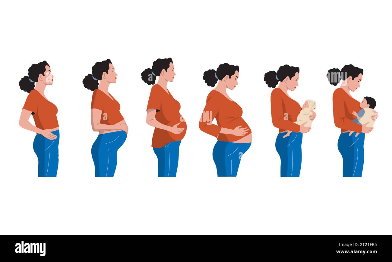 Les stades de la grossesse. Chronologie de la femme enceinte de l'embryon au nouveau-né, dessin animé prénatal de développement de l'enfant concept. Infographie vectorielle Illustration de Vecteur