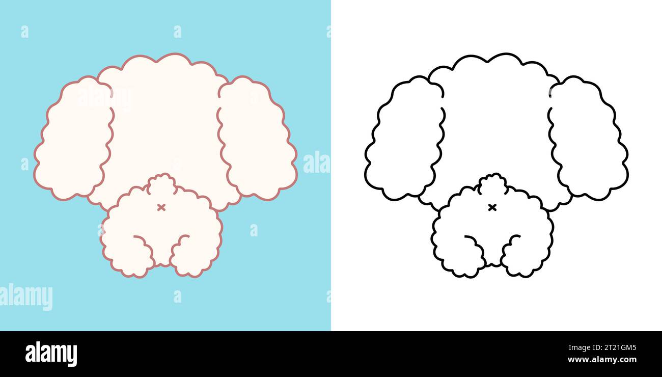 Clipart mignon de chien de caniche pour la page de coloriage et l'illustration. Joyeux clip Art Puppy. Illustration de Vecteur