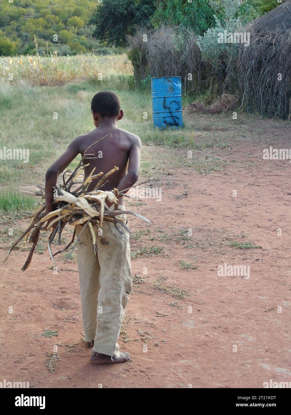 village enfant africain porter du bois pour cuisiner dans sa maison avec toit de chaume dans la zone rurale. Banque D'Images