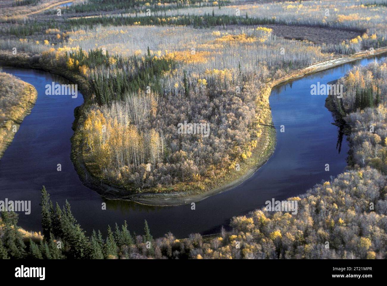 Vue aérienne de Beaver Creek. Sujets : Photographie aérienne ; scènes ; paysages ; rivières et ruisseaux ; refuges pour animaux sauvages; Yukon Flats National Wildlife refuge ; collection Spencer ; Alaska. Banque D'Images