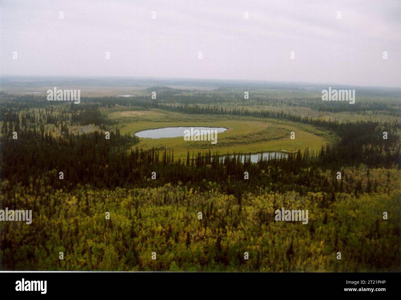 Les tourbières humides sont des caractéristiques communes du Yukon Flats NWR. Sujets : Photographie aérienne ; Habitat ; terres humides ; Lacs ; refuge national de faune des plaines du Yukon ; YFNWR ; paysages pittoresques ; paysages. Banque D'Images