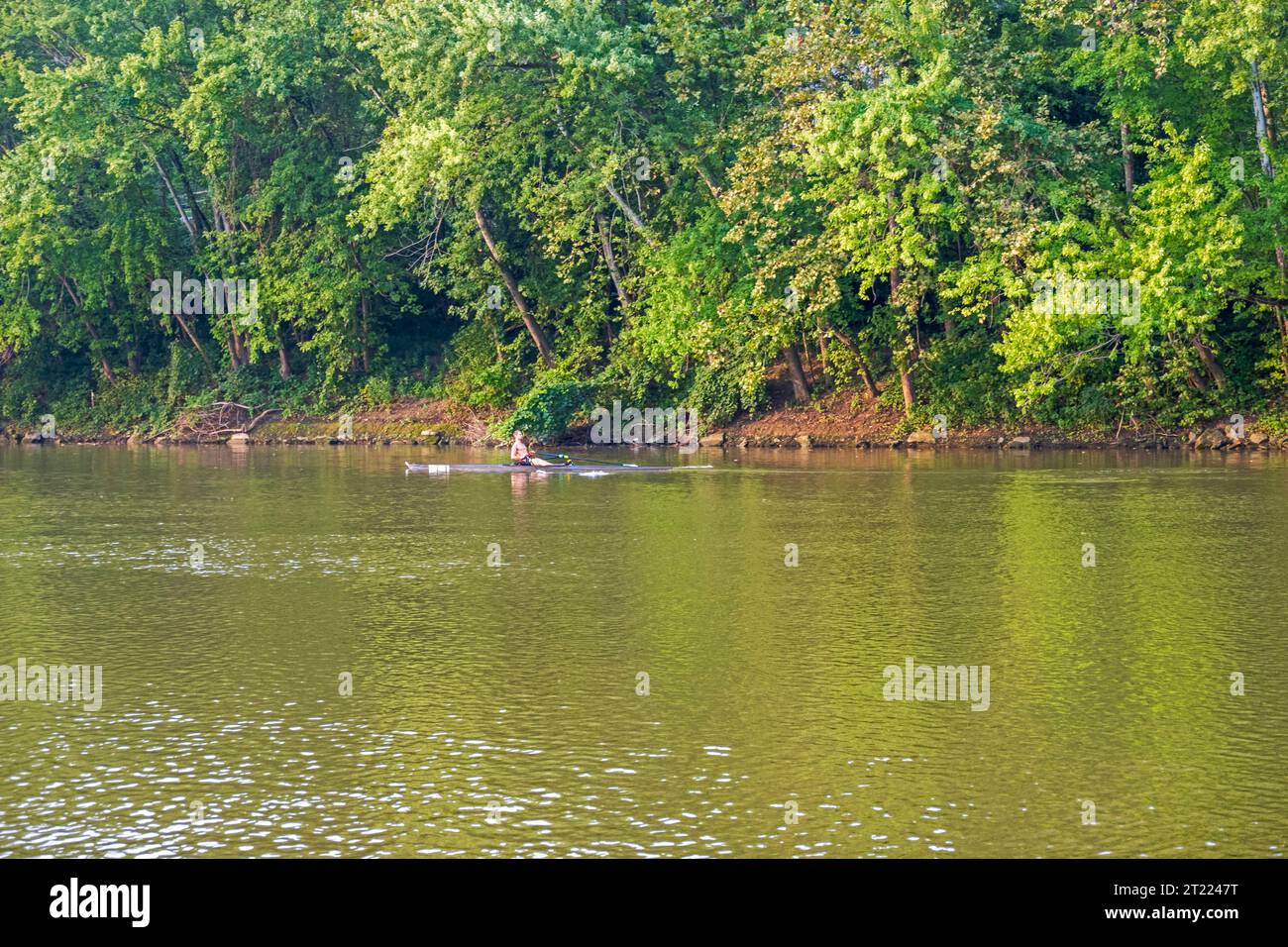 Un rameur par un matin tranquille sur la rivière Muskingum à Mariettta, Ohio Banque D'Images